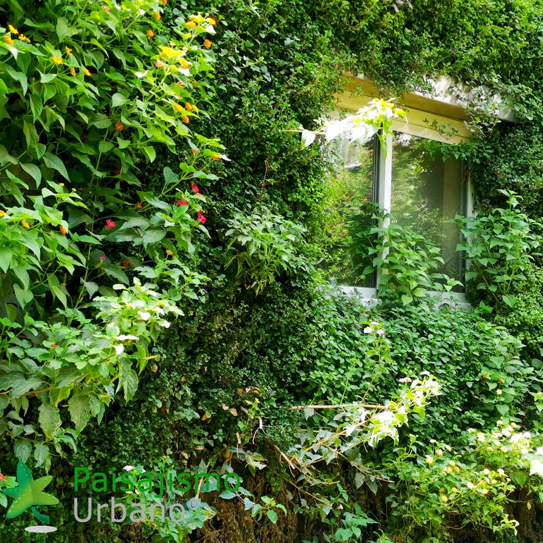 jardin vertical arabia