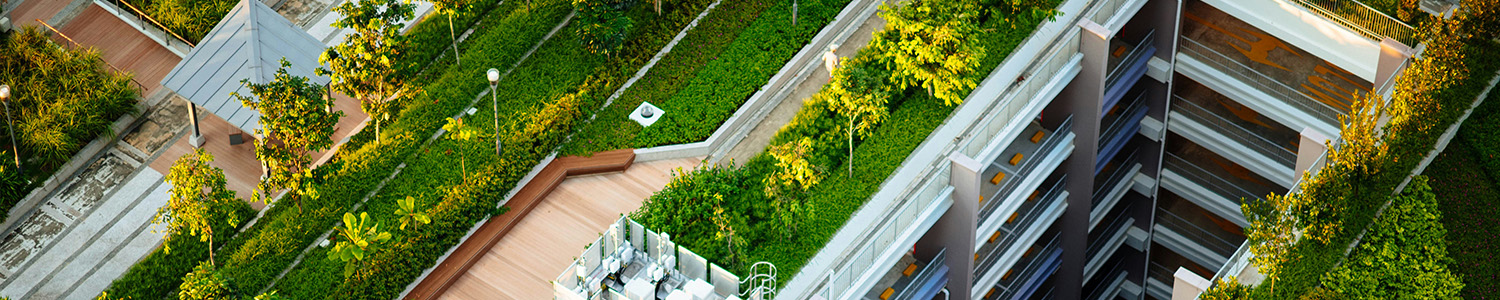 cubierta vegetal roofnature